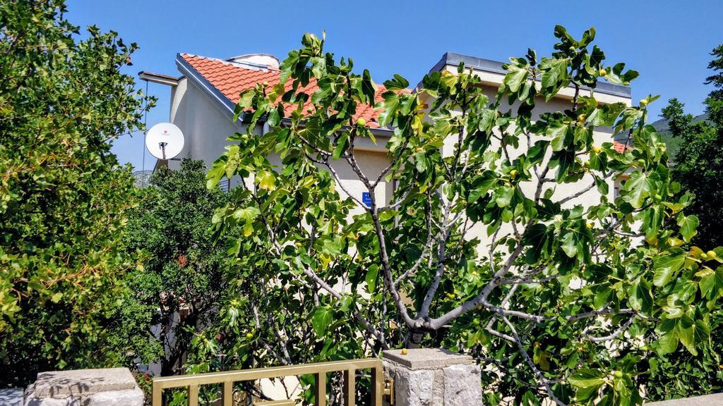 Kristina Apartment Klenovica