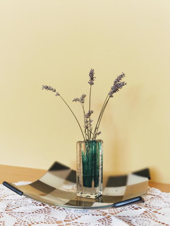 Apartment Kristina Klenovica